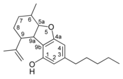 CBE tipi kannabinoidin kimyasal yapısı.