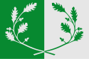 Vlag van Eeklo