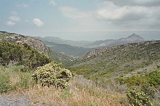 Typical landscape of scrub in Corsica.