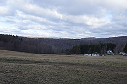 Fields northwest of Reynoldsville