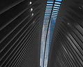Image 92One World Trade Center through the Oculus