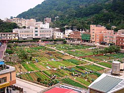 Zeleninová městská farma