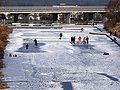 Das ehemalige Landesgartenschaugelände in Memmingen im Januar 2009