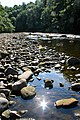 The River Ure at Hackfall Gorge near Mickley