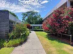 This is an image of a pathway between buildings on the Mount Lawley campus.