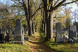 Old Israelite section of Central Cemetery, Vienna