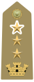 distintivo di grado di colonnello a titolo onorifico