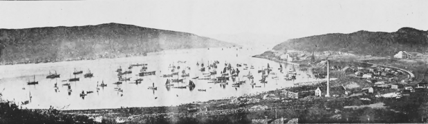 Der Hafen von Narvik, 1902
