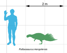 Psittacosaurus