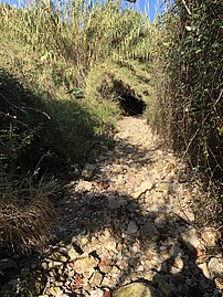 Sentiero nella Cava Santa Panagia