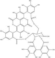 Chemical structure of punicalagin