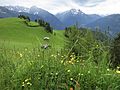 Zillertal