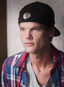 Tim Bergling v roce 2014