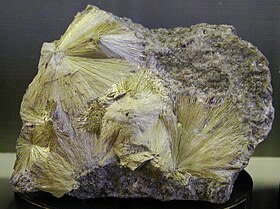 Image illustrative de l’article Carpholite