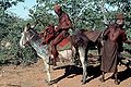 Berede Himba-herders
