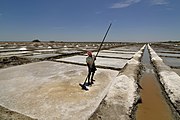 A daily wage worker in a salt field. The average minimum wage of daily labourers is around Rs.100 per day