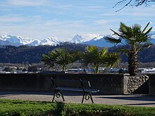 Photographie en couleurs de palmiers, puis au fond de montagnes enneigées.