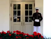 White House Sentry
