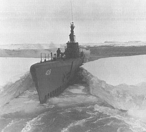 Sennet in the Antarctic Ocean during Operation Highjump in 1946