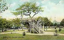 A postcard showing an image of an apple tree in Canobie Lake Park.