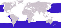 Distribuição geográfica global das espécies de albatroz.