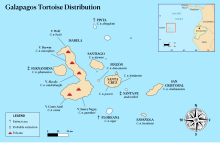 A map of the Galápagos with labels for names of the islands and their native species of tortoises.