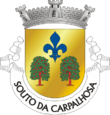Vlag van Souto da Carpalhosa