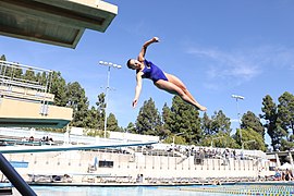 NCAA diving at UCLA.jpg