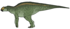 Secernosaurus koerneri