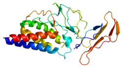 Interleukin-2 receptor subunit alpha