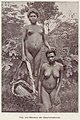 Frauen von der Gazelle-Halbinsel (1890)