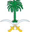 نشان رسمی خمیس مشیط