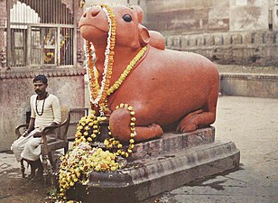 Estatua de vaca sagrada en Varanasi Benarés.