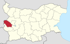 Provinco Pernik (Tero)
