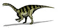 Plateosaurus là một Khủng long dạng chân thằn lằn nguyên thủy, sống ở kỷ Trias muộn.