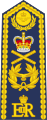 Marshal of the Royal Air Force (shoulder board)