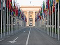 Flagad edel ÜRO:n pertid Ženevas