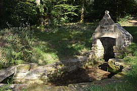 Lavoir dans la forêt communale - Lann Bourgeol.