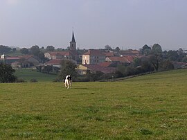 A general view of Mandres-en-Barrois