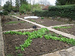 Jardin potager Bio.