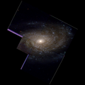 Image de NGC 3338 réalisée à l'aide des données captées par le télescope spatial Hubble.