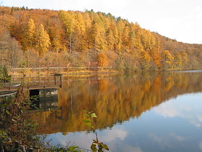 Nazymski wubarwjony lěs pśi jazoru