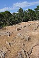 Wall foundations in Puig Castellet near Lloret