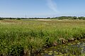 entre Peize et Haren, la réserve naturelle d'Onlanden