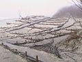 Palanga dunes at winter.