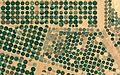 صورة مقربة لدوائر المحاصيل Crop circles in Al Jawf