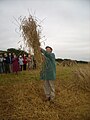 „Crying the neck” nawiązujące do kornwalijskiej tradycji dożynki organizowane przez Old Cornwall Society