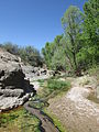 Réserve naturelle de Cienega Creek, Comté de Pima, Arizona (2014) ;
