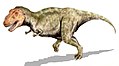 Ang Tyrannosaurus rex na isa sa pinakamalaking mga maninilang panlupain ng lahat ng panahon ay namuhay sa Huling Cretaceous.