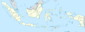 Linge is located in Indonesia